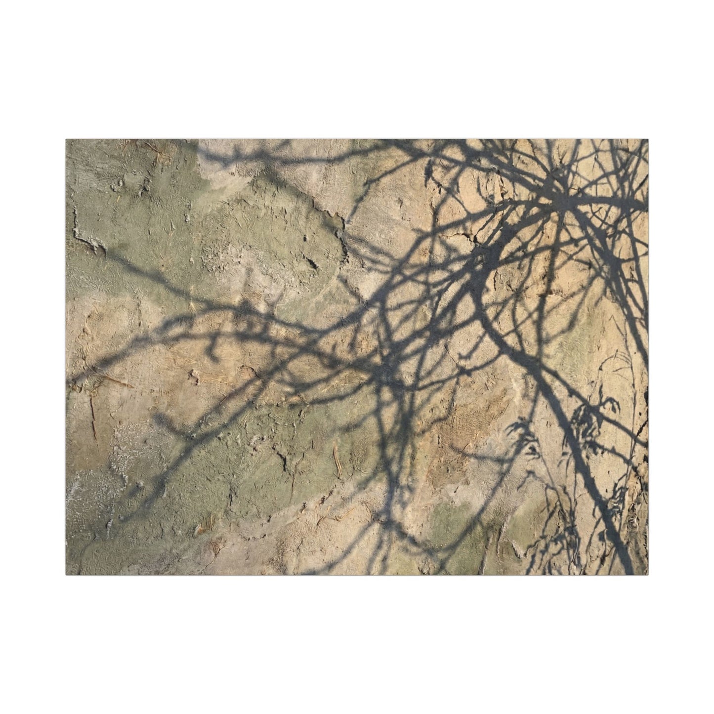 Japandi Shadow Play in Golden Hour | Texture Canvas Art Art Print