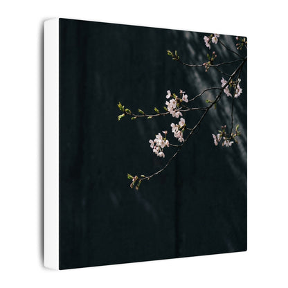 Cherry Blossom Spring Canvas Art | Dark Japandi Sophisticated Design