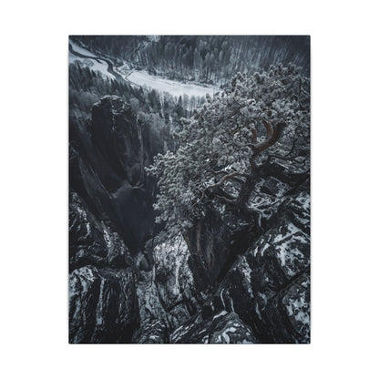 Dark Japandi Pine Tree in Dappled | Dark Texture Canvas Art Art Print
