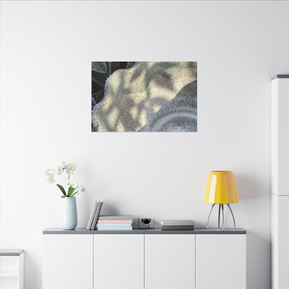 Dappled Ceramic Bowl Canvas Art - Japandi Seijaku