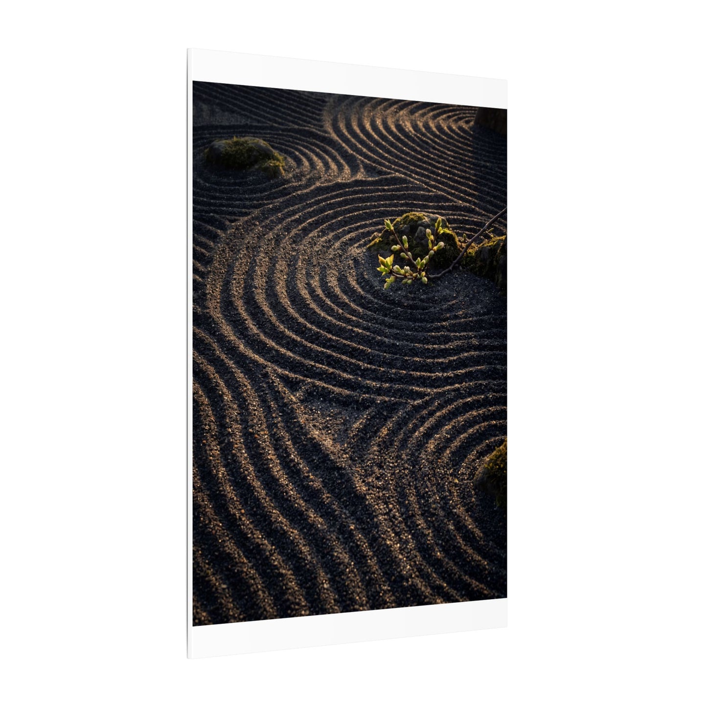 Spring Rock Garden Shadow Zen Canvas Art | Atmospheric Decor