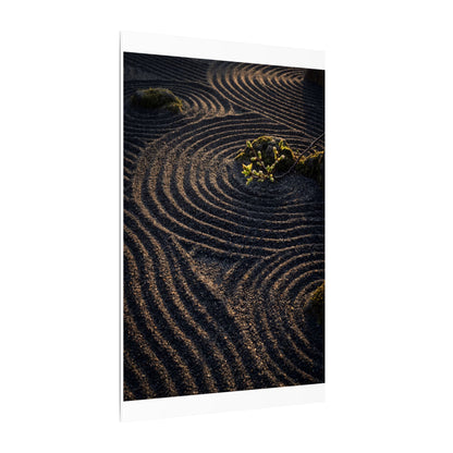 Spring Rock Garden Shadow Zen Canvas Art | Atmospheric Decor