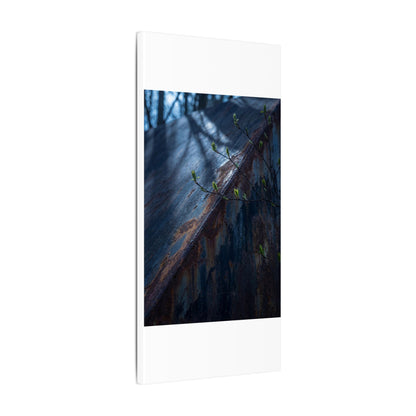 Rust Patina Canvas Art | Spring Dark Japandi Shadow Zen Art