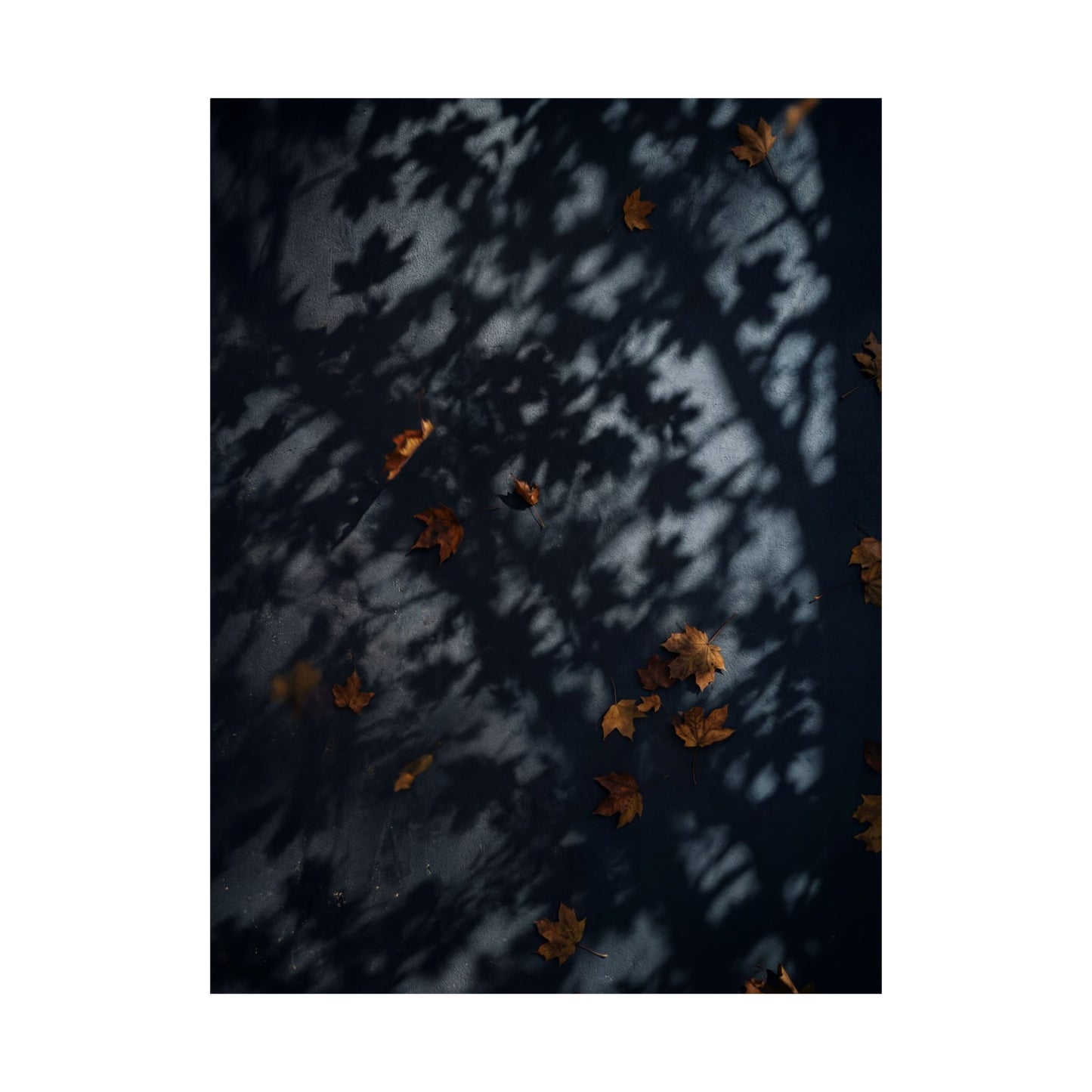 Shadow Play Shadow Zen Wall Art Print | Luxurious Dark Japandi Art