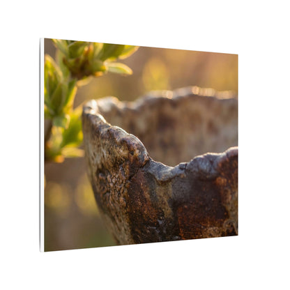 Golden Hour Ceramic Bowl Canvas Art - Dark Japandi Ma