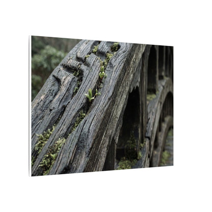 Overcast Wooden Bridge Canvas Art - Japandi Kanso