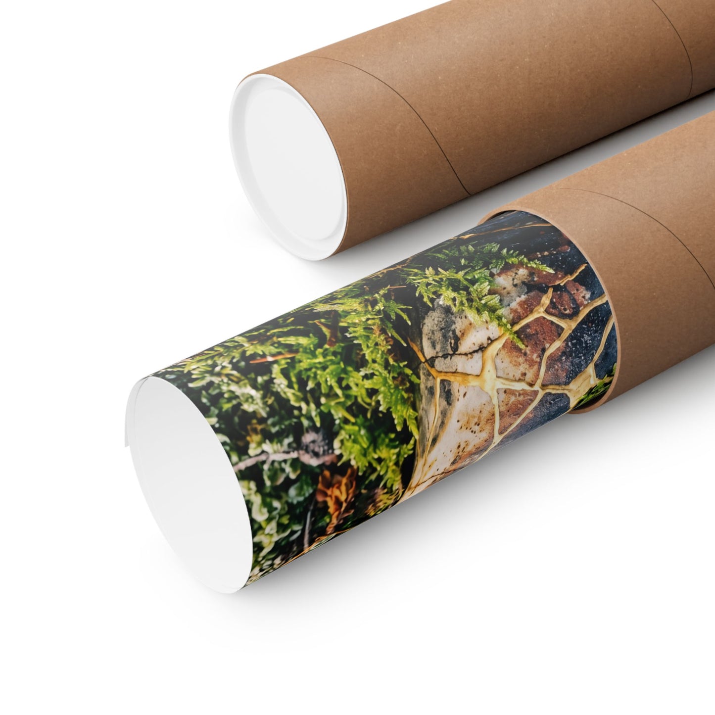 Winter Moss Close Up Gold Repair Wall Art Print | Beautiful Decor