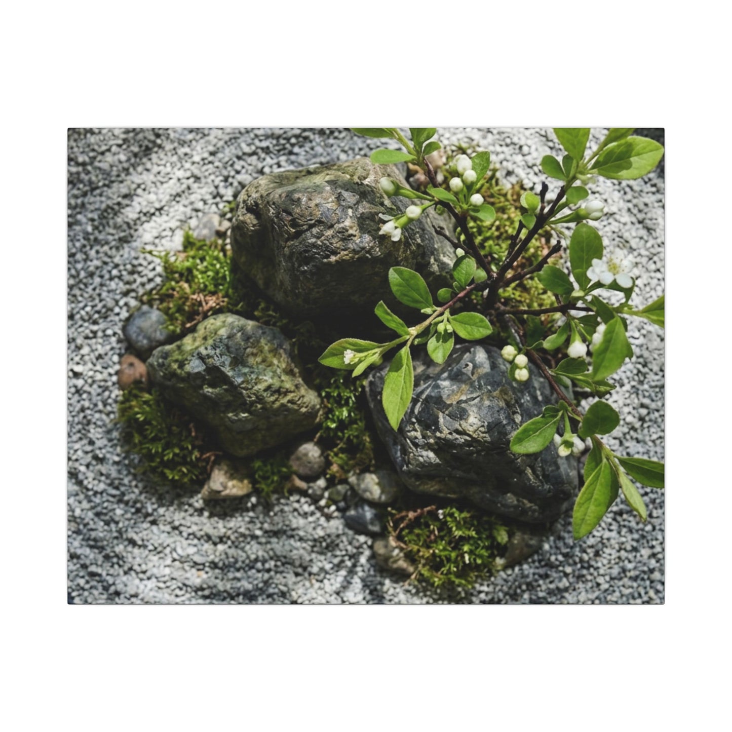 Zen Ceramic Bowl in Dappled | Karesansui Canvas Art
