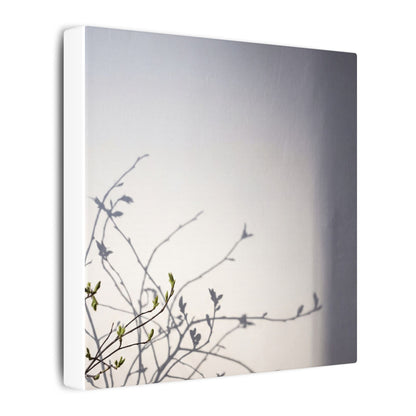 Japandi Shadow Play in Dawn | Japanese Pattern Canvas Art