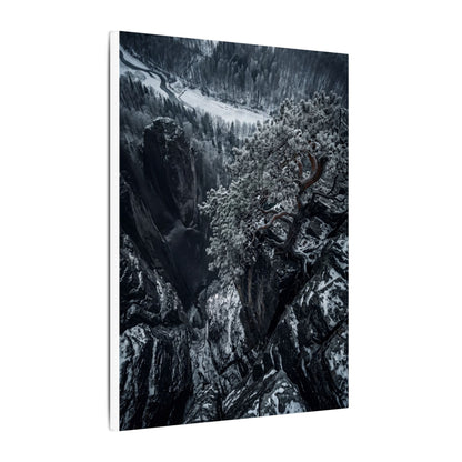 Dark Japandi Pine Tree in Dappled | Dark Texture Canvas Art