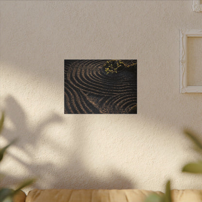 Spring Rock Garden Shadow Zen Canvas Art | Atmospheric Decor
