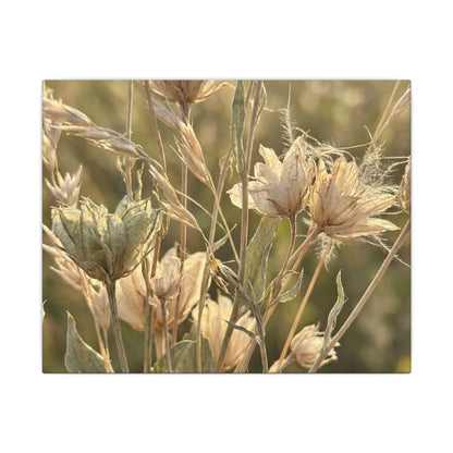 Summer Dried Flowers Minimal Line Canvas Art | Cozy Decor