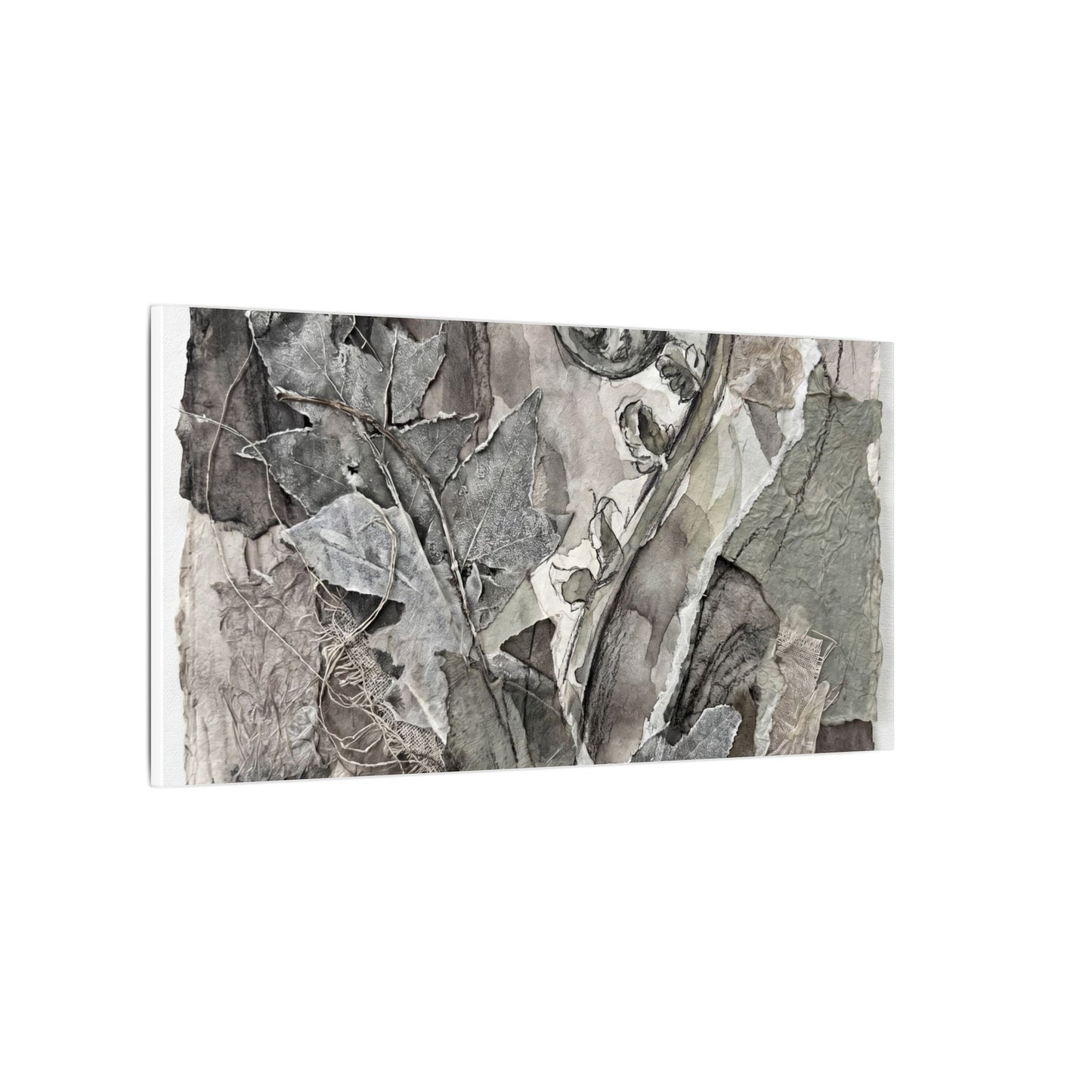 Japandi Fern Unfurling in Overcast | Texture Canvas Art