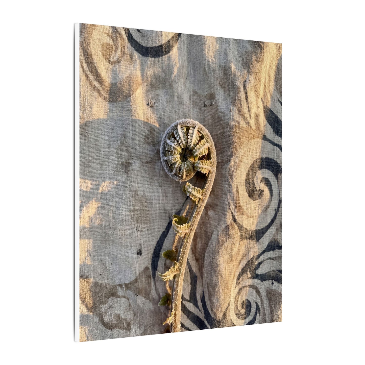 Fern Unfurling Canvas Art | Winter Japandi Japanese Pattern Art