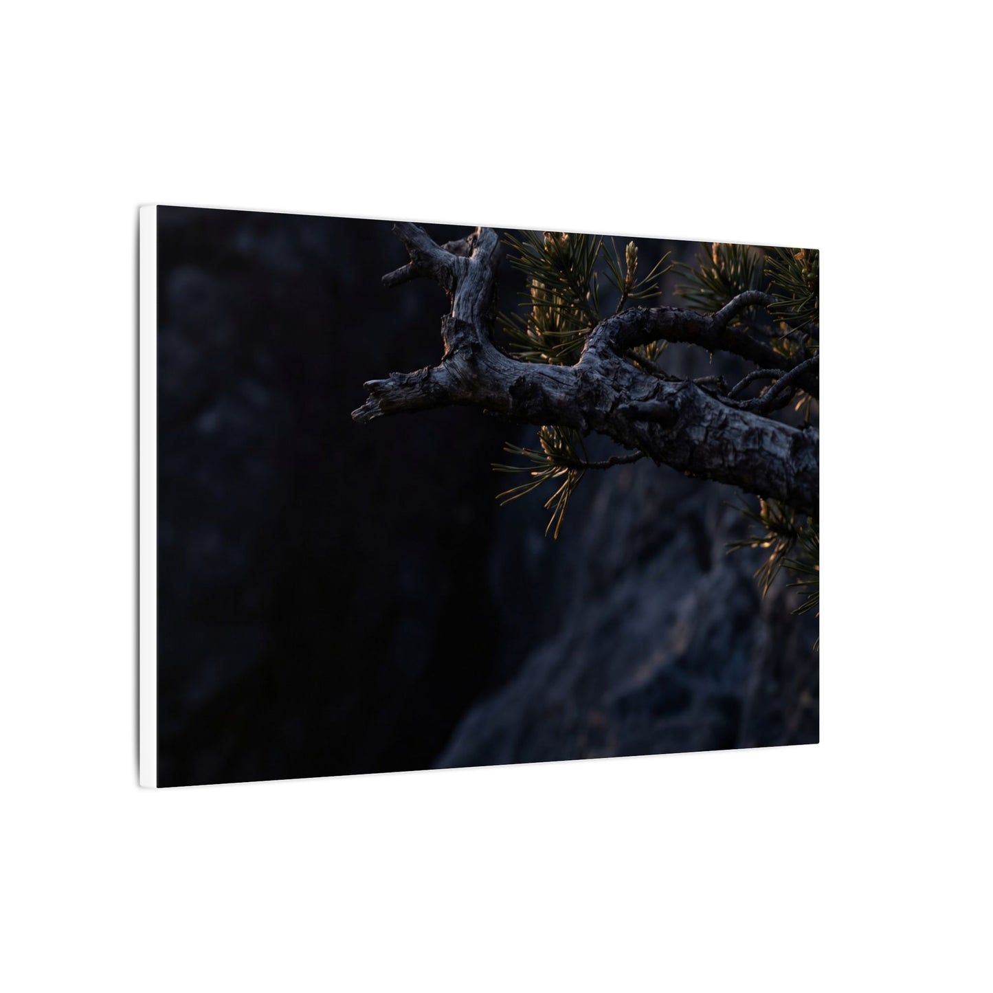 Pine Tree Moody Minimal Canvas Art | Sophisticated Dark Japandi Art