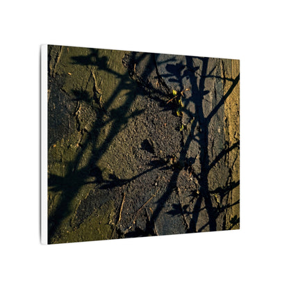 Kanso Shadow Play Canvas Art - Dark Japandi Dark Texture