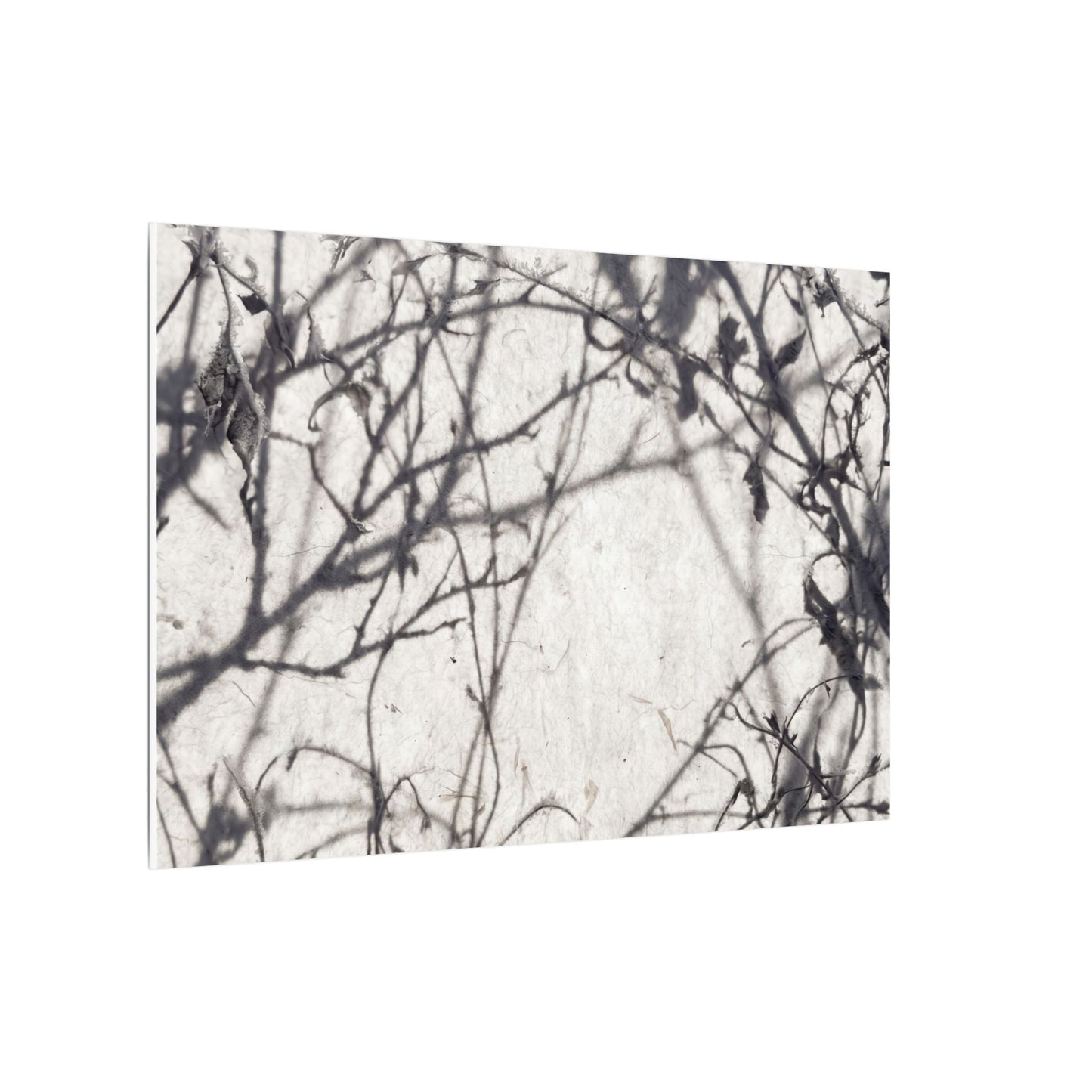 Winter Shadow Play Japanese Pattern Canvas Art | Elegant Decor