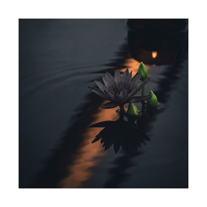 Candlelight Lotus Flower Wall Art Print - Dark Japandi Seijaku