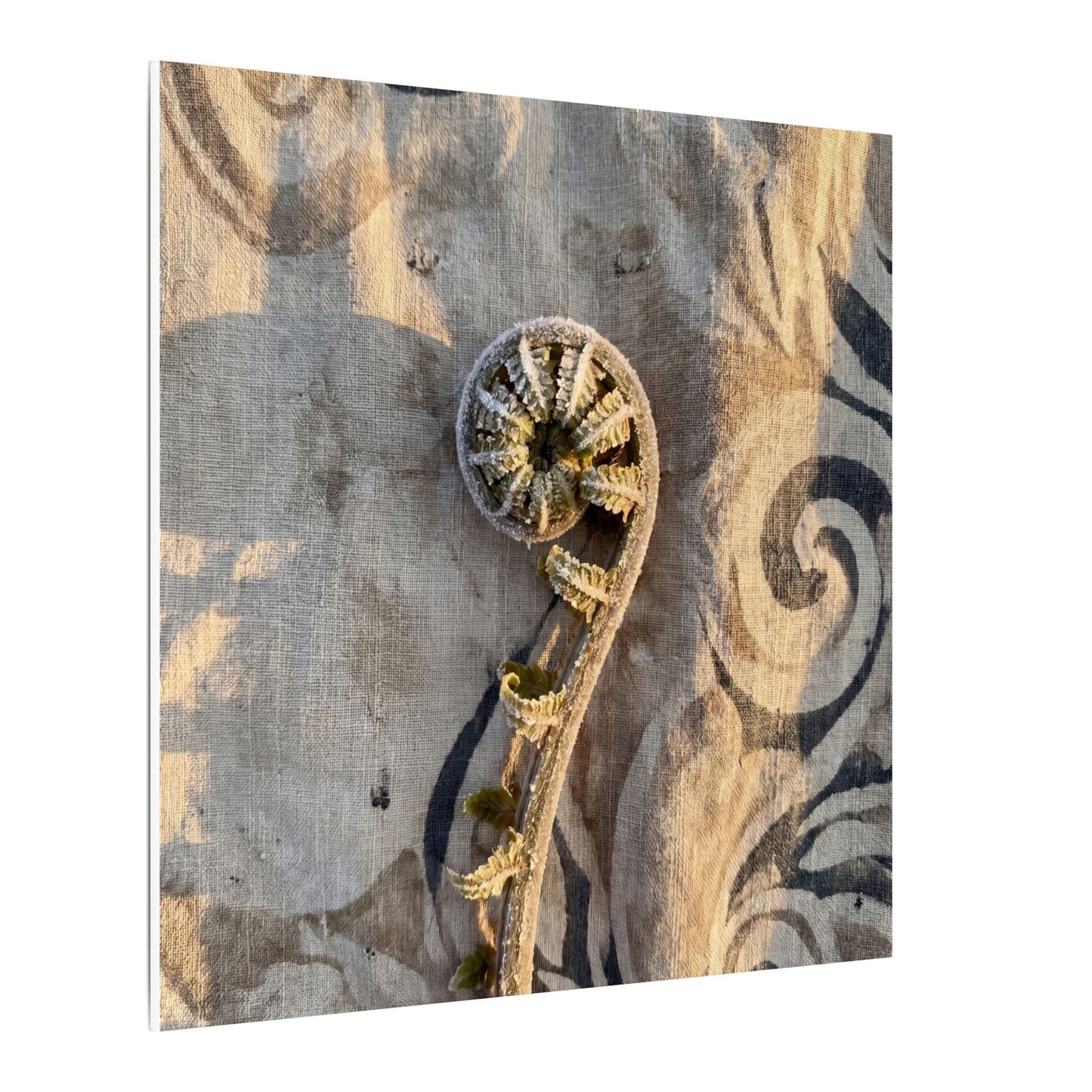Fern Unfurling Canvas Art | Winter Japandi Japanese Pattern Art