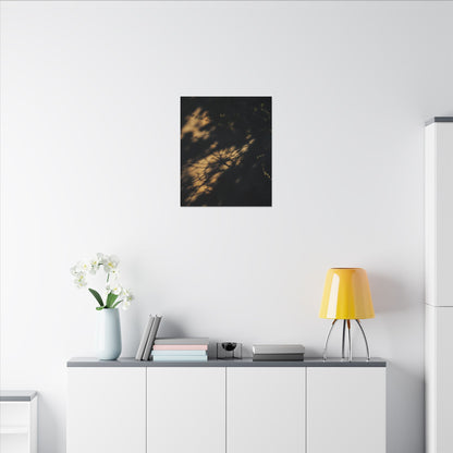 Moody Shadow Play Canvas Art - Moody Minimal Dark Japandi