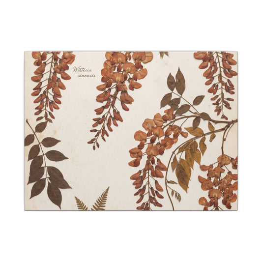 Dappled Wisteria Canvas Art - Cottagecore Ma Art Print