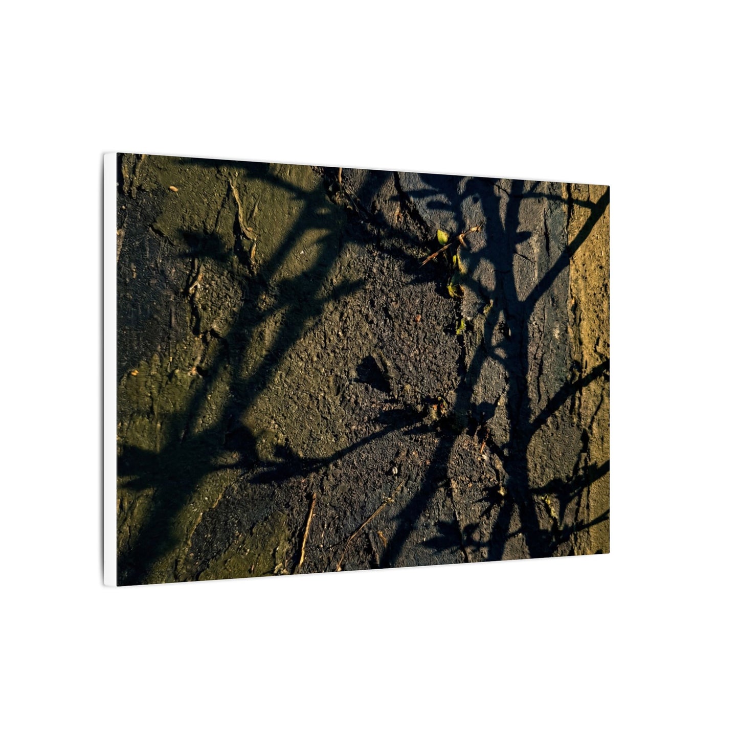 Kanso Shadow Play Canvas Art - Dark Japandi Dark Texture