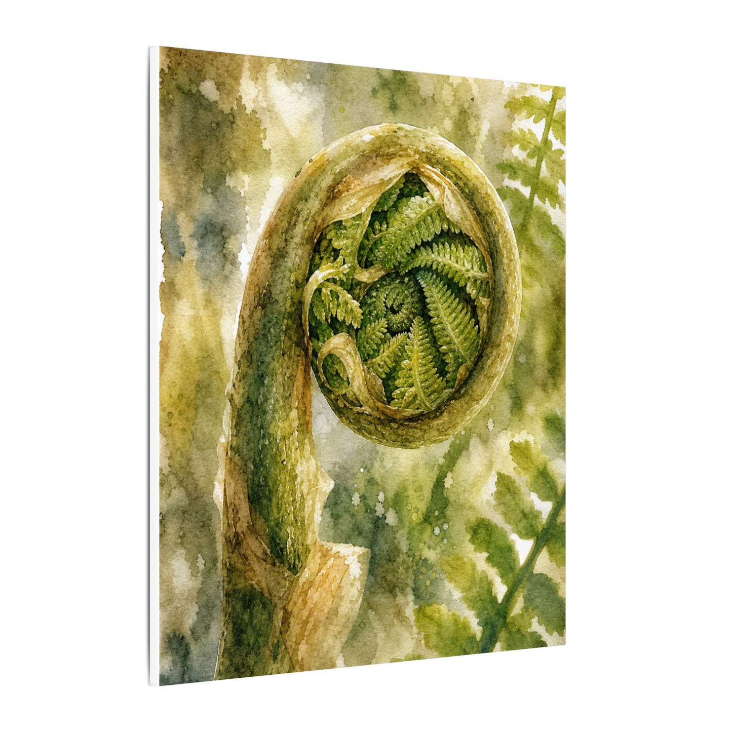 Japandi Fern Unfurling in Dappled | Watercolor Canvas Art
