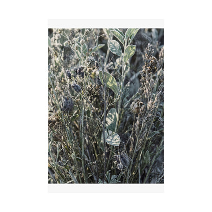 Dried Flowers Winter Wall Art Print | Japandi Neutral Design