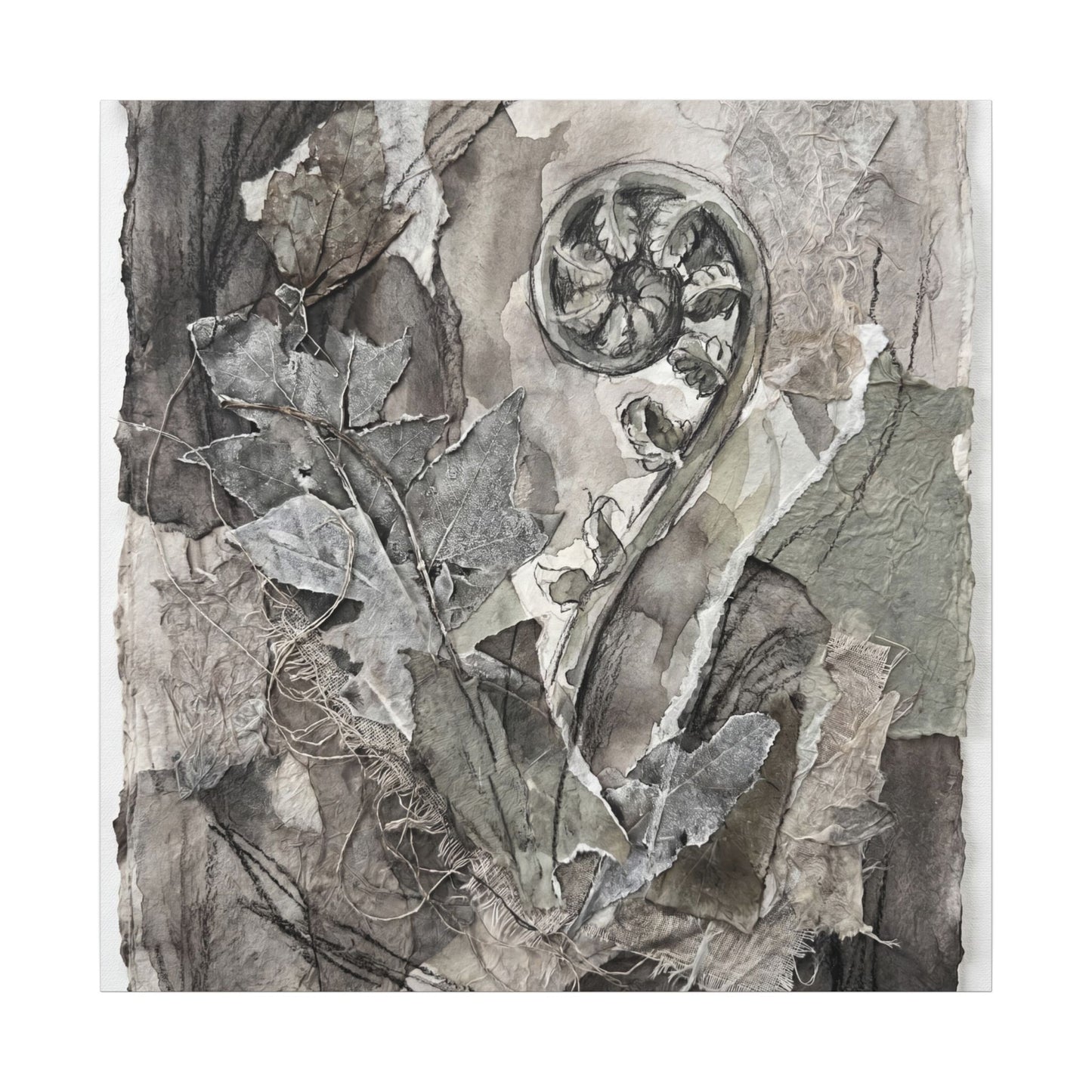 Japandi Fern Unfurling in Overcast | Texture Canvas Art