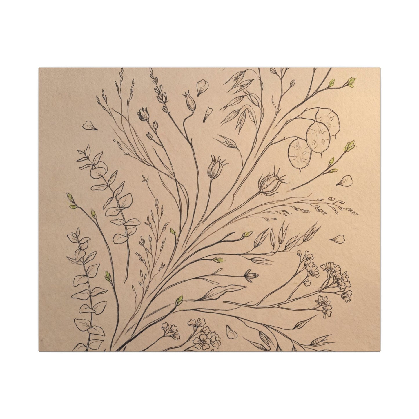 Dried Flowers Canvas Art | Spring Japandi Minimal Line Art