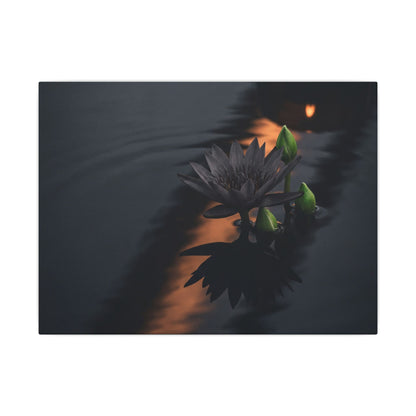 Seijaku Lotus Flower Canvas Art - Dark Japandi Shadow Zen